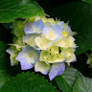 Meet your Posher, Meredith